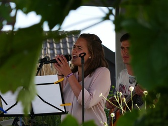 Gartenfest 2017